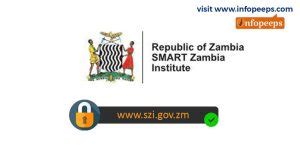 sm e payslip|my epayslip zambia.